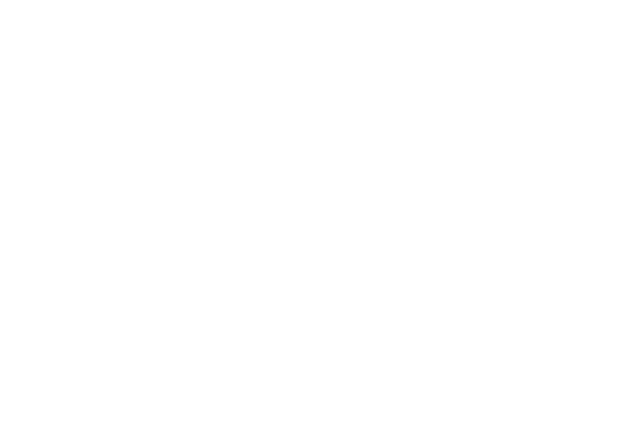 geoplast