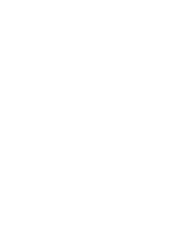 PKW befahrbar bis 600kg Radlast